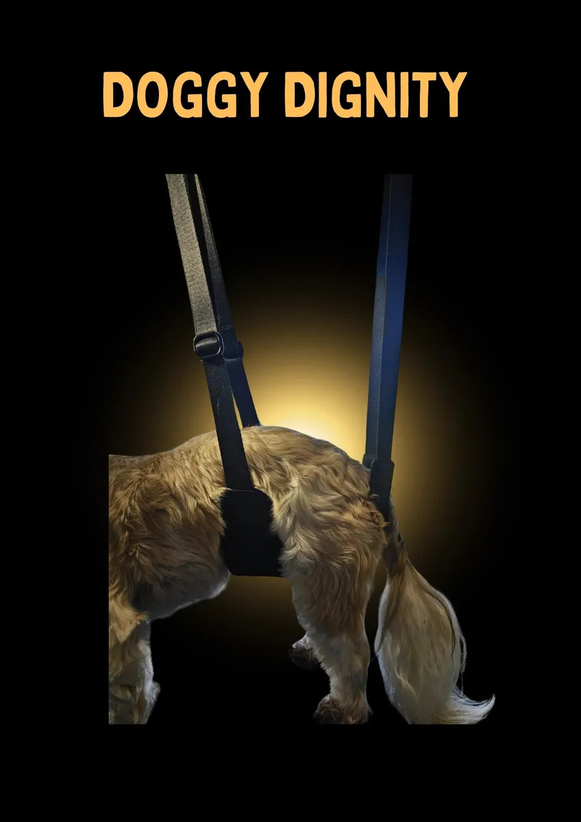 DBT Doggy Dignity Belly Band