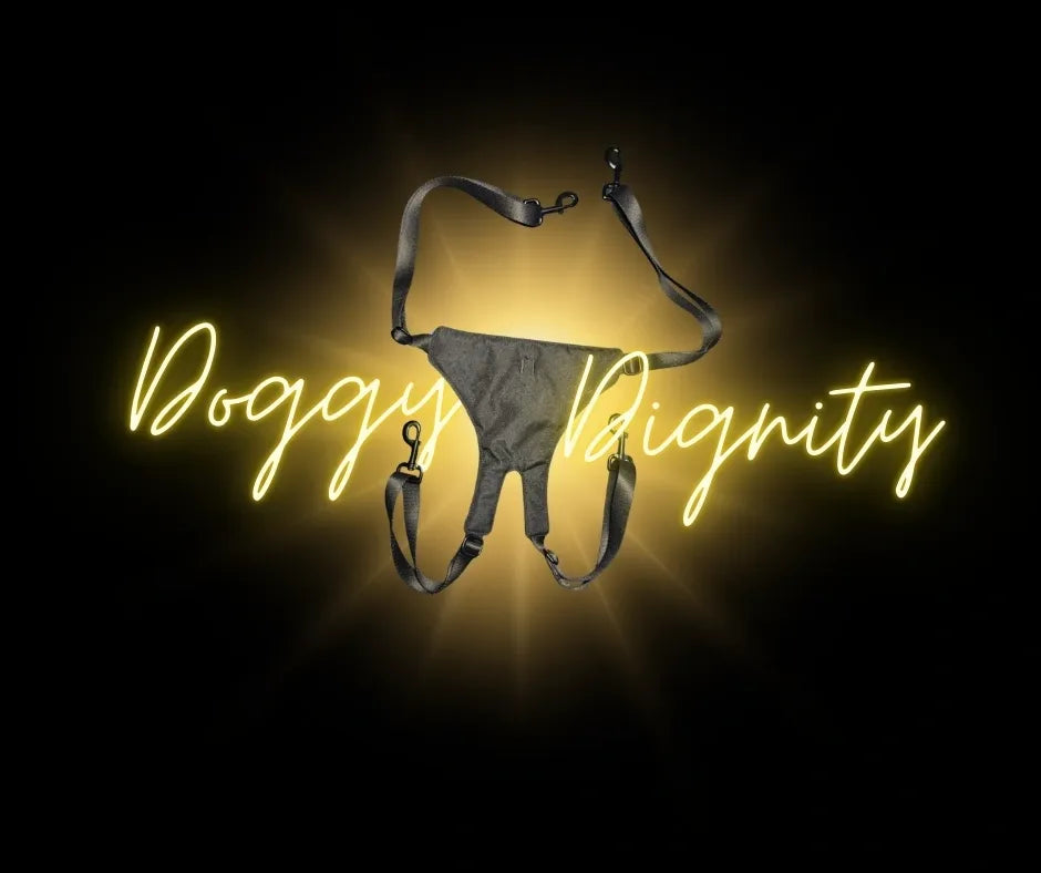 DBT Doggy Dignity Belly Band