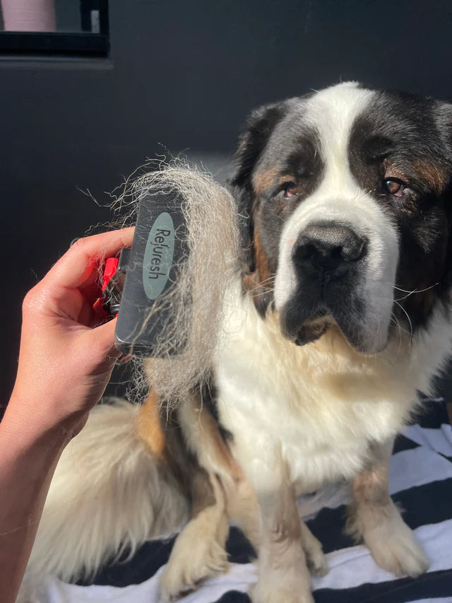 Refuresh Gentle Deshedding Brush - Long Length Hair - The Groomers Shop