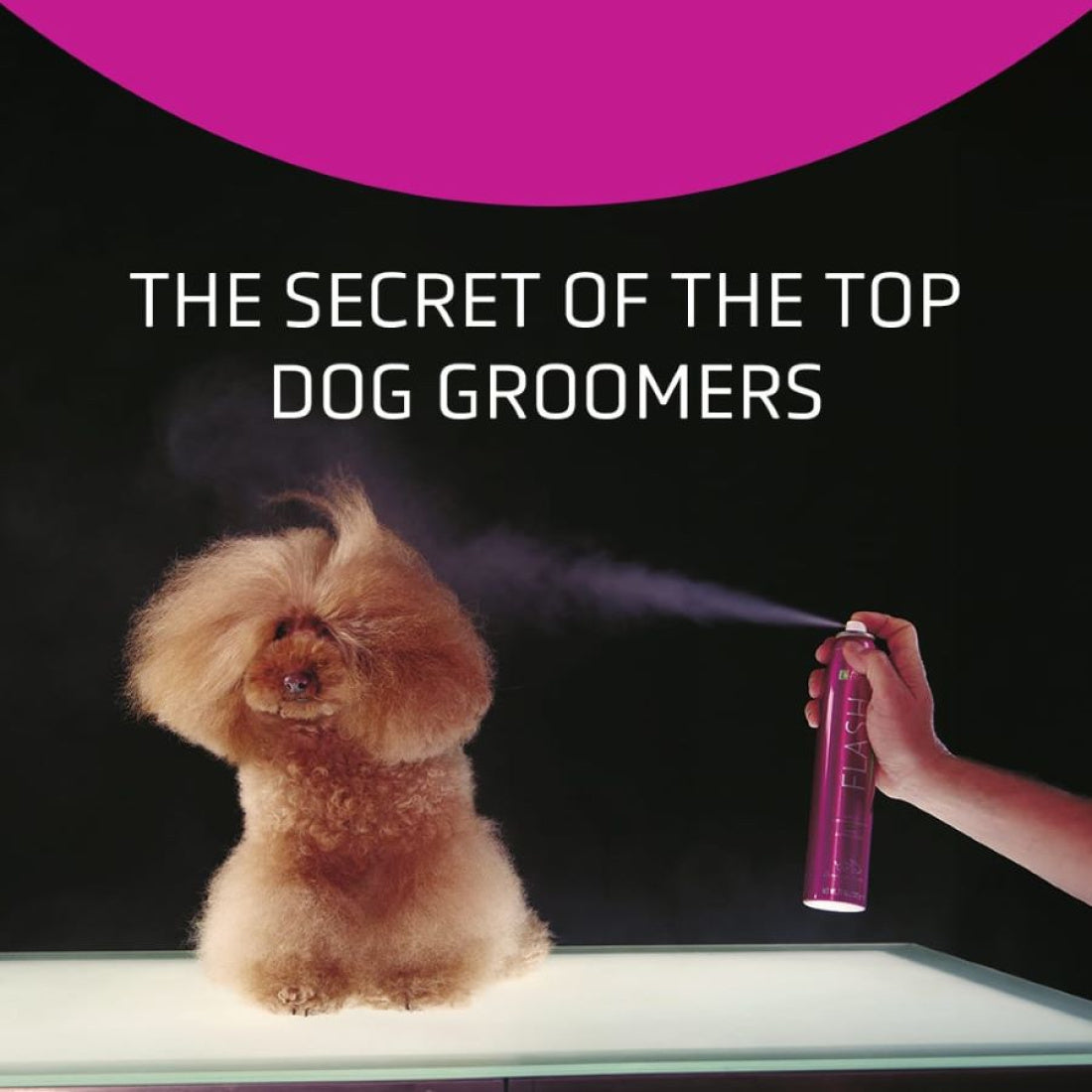 Artero Flash Nutritive Shine & Conditioning Spray - The Groomers Shop