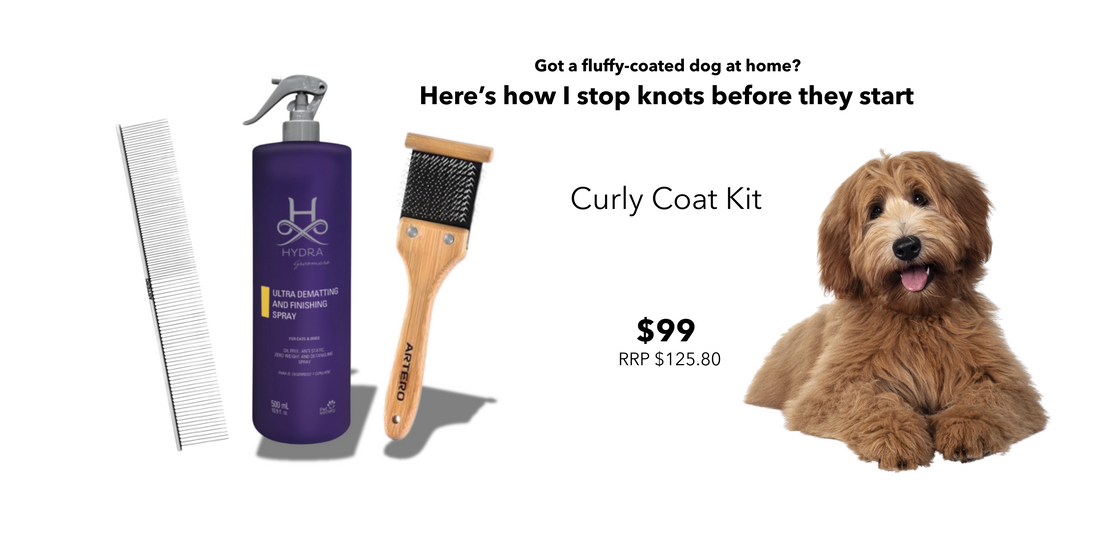 Best Tools for Fluffy Coats at Home — Groomer-Approved Picks