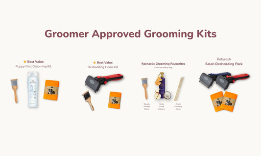 The Right Grooming Kits for Every Dog (And Every Groomer)