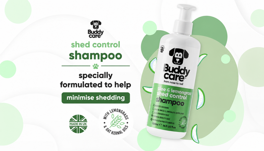 Buddycare Shed Control Aloe and Lemongrass shampoo, available from The Groomers Shop
