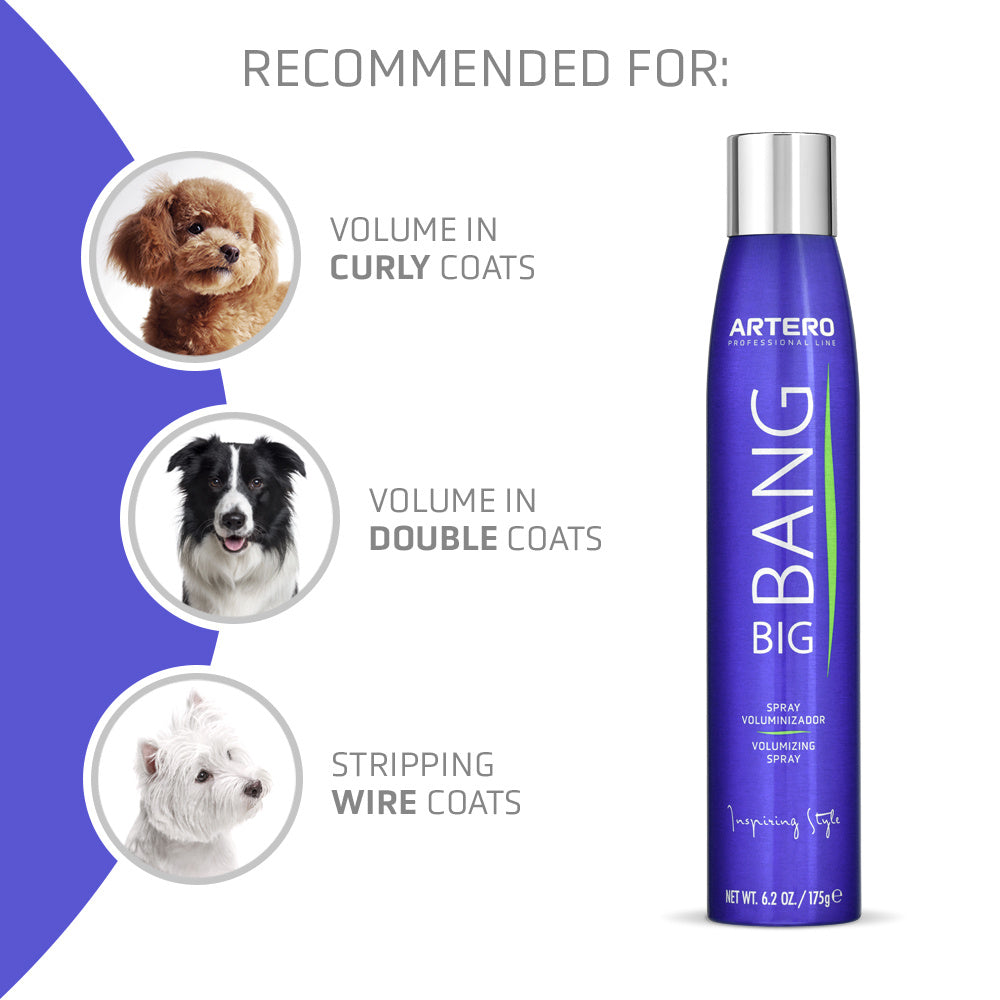Artero - Big Bang Volumising Spray 300ml by Artero – image 3