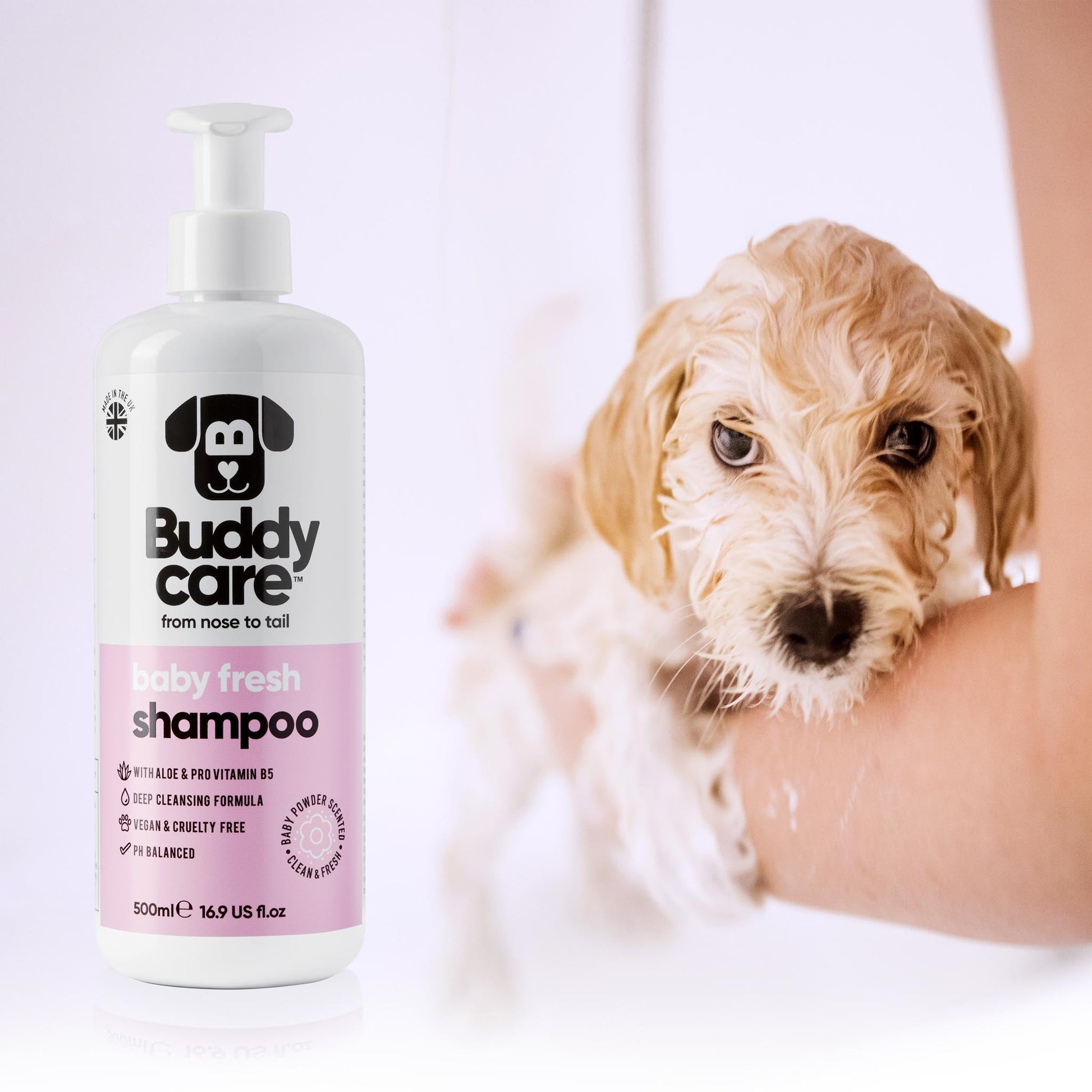 Baby Fresh Dog Shampoo professional dog grooming image 11