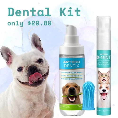 Pet Dental Care Kit for Cats and Dogs