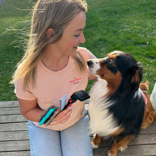 Border Collie Bundle