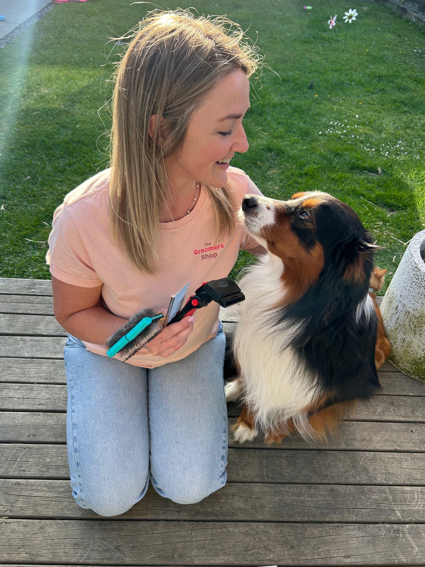 Border Collie Bundle