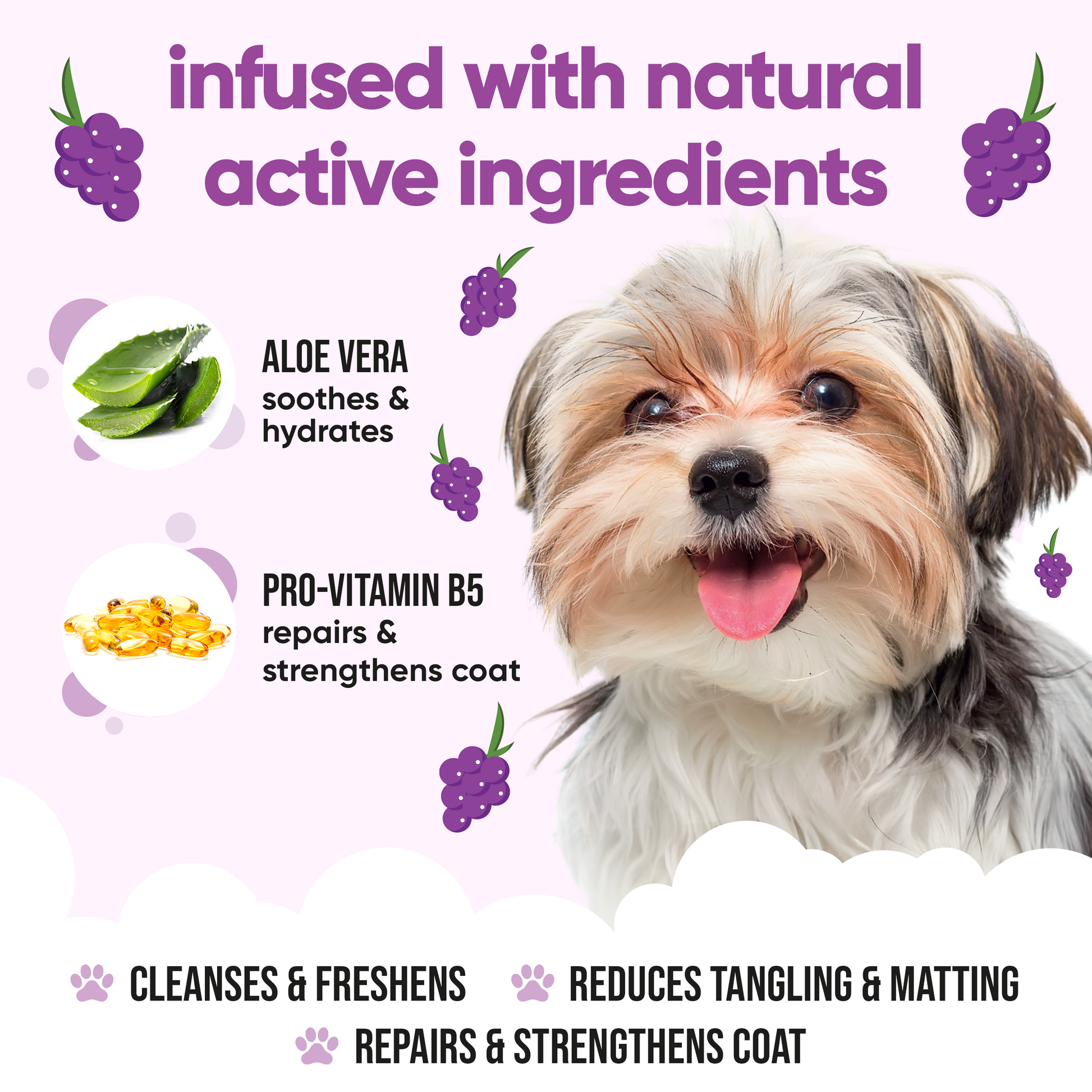 Grape Dog Shampoo professional coat care formula