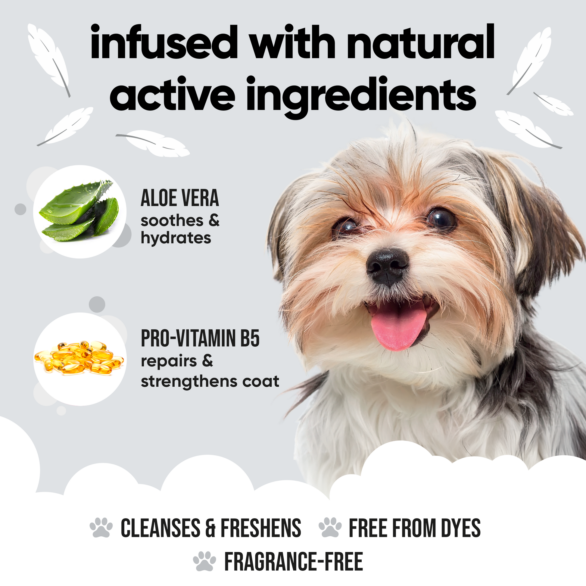 Derma Sensitive Dog Shampoo professional coat care formula