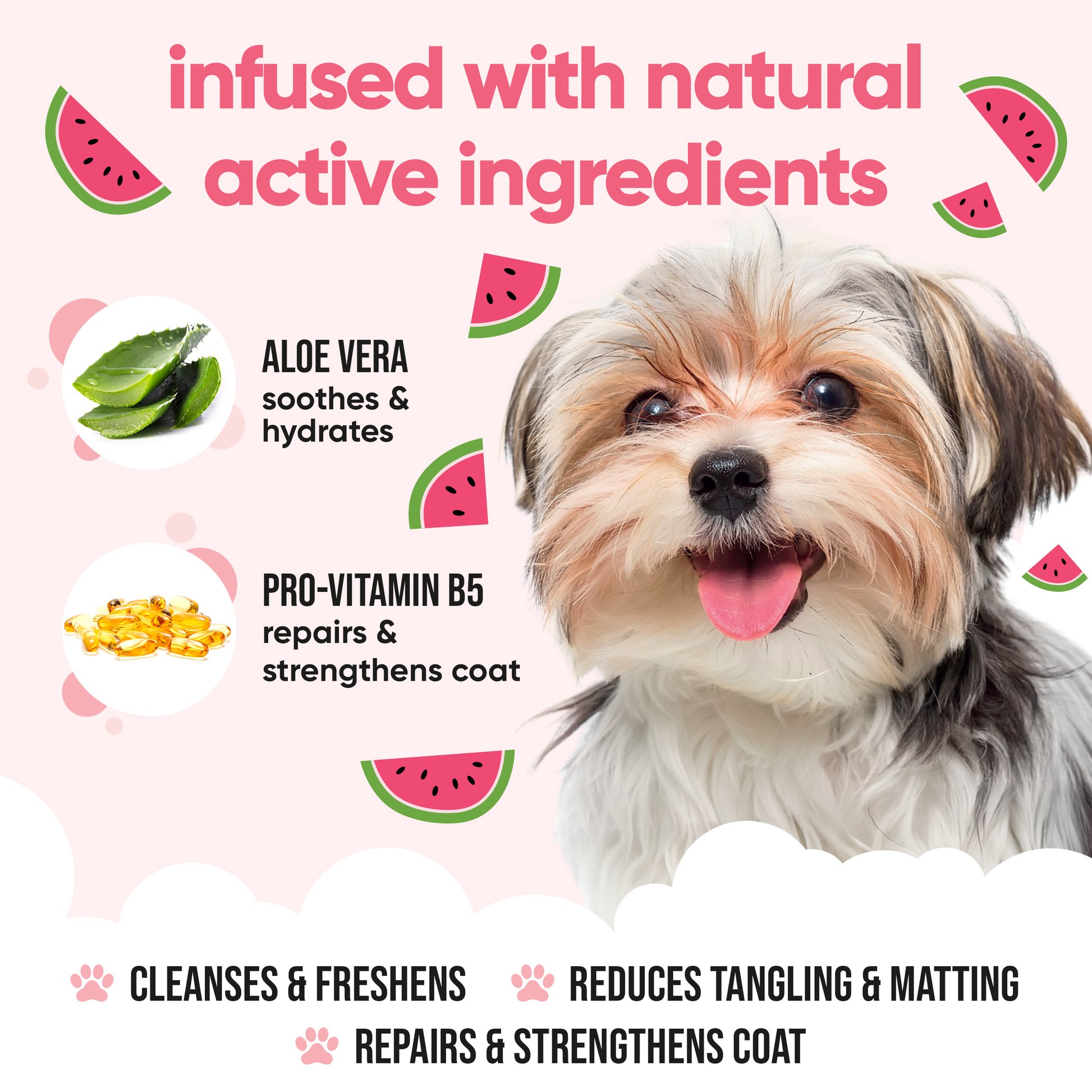 Watermelon Dog Shampoo professional coat care formula