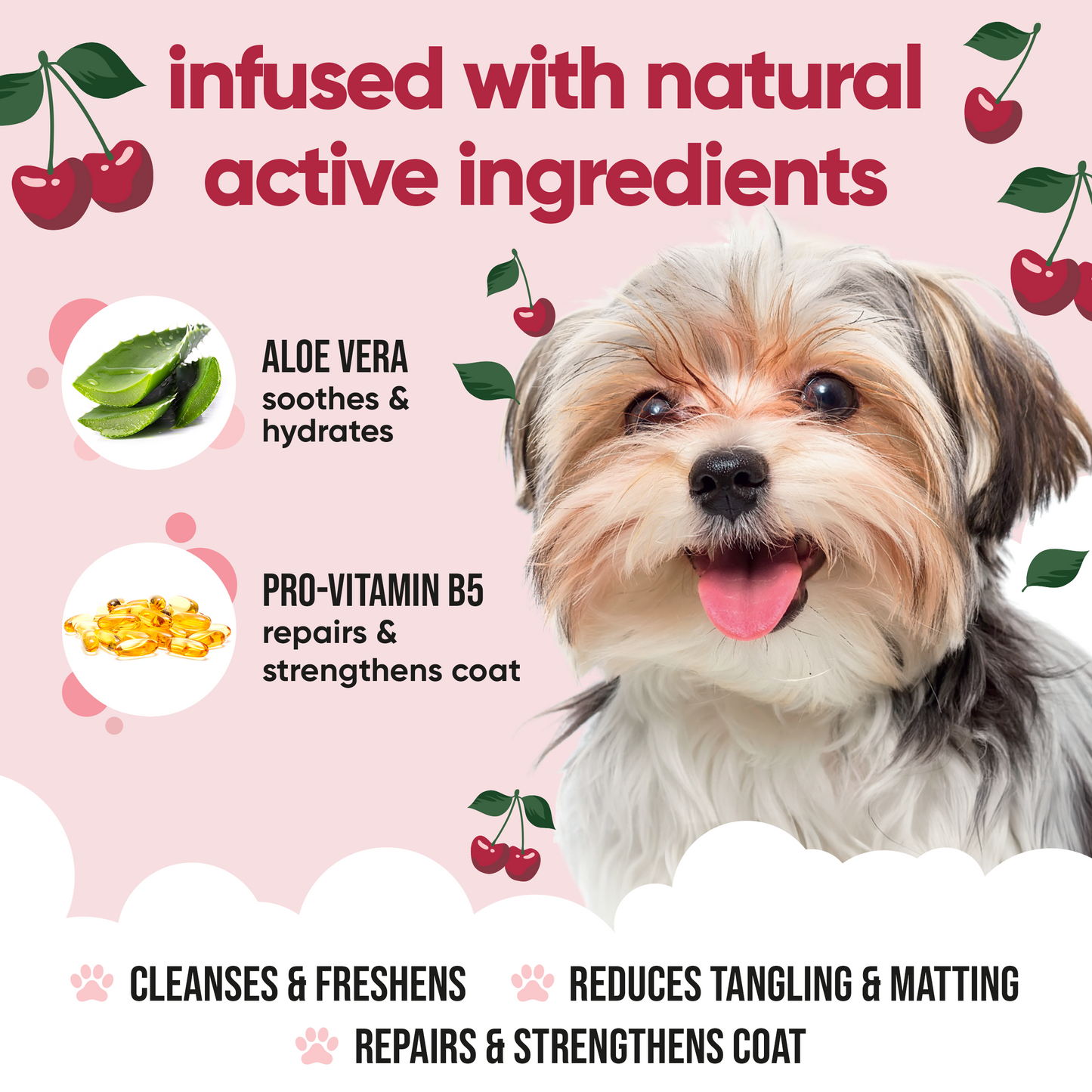 Black Cherry Dog Shampoo professional coat care formula