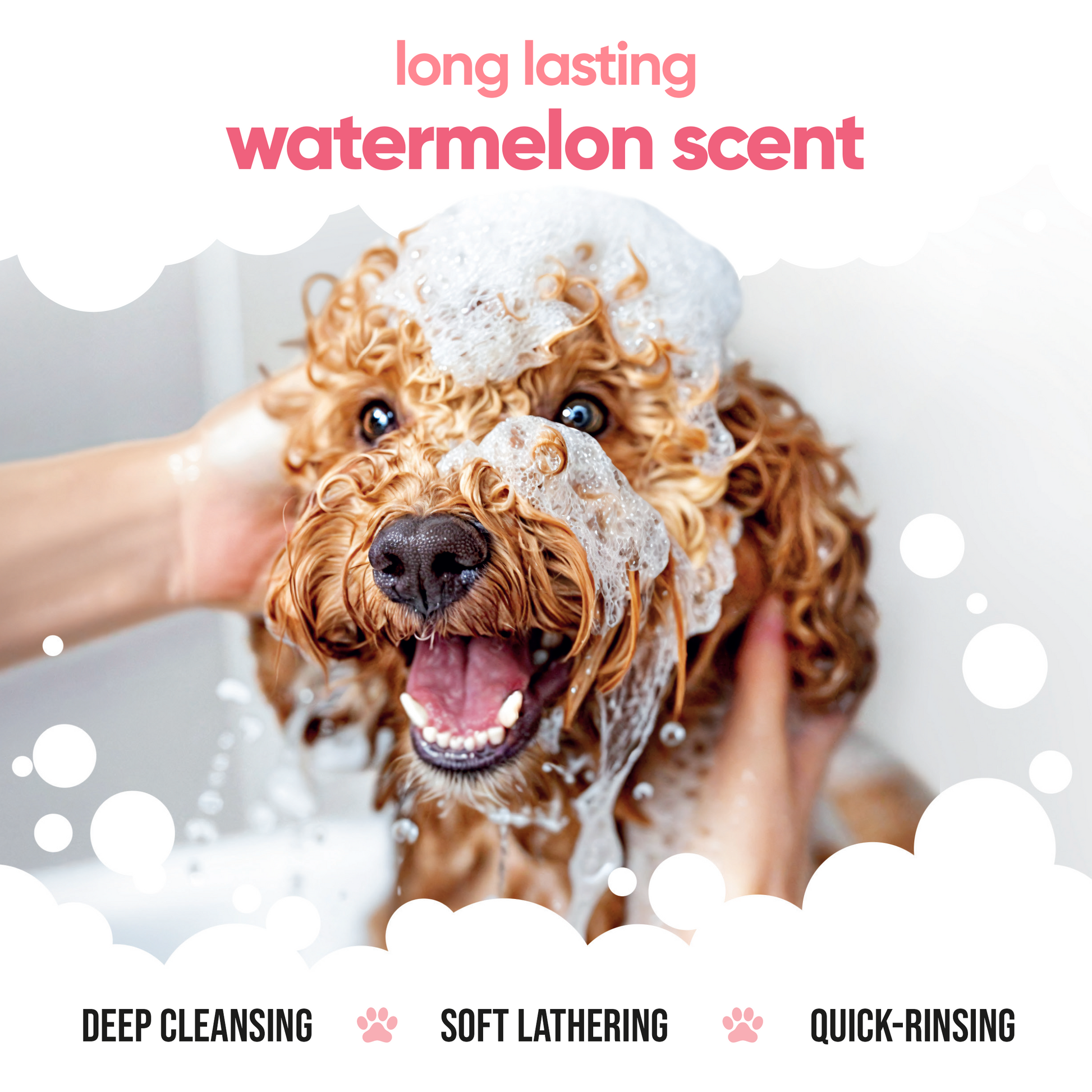 Watermelon Dog Shampoo gentle pH-balanced grooming formula