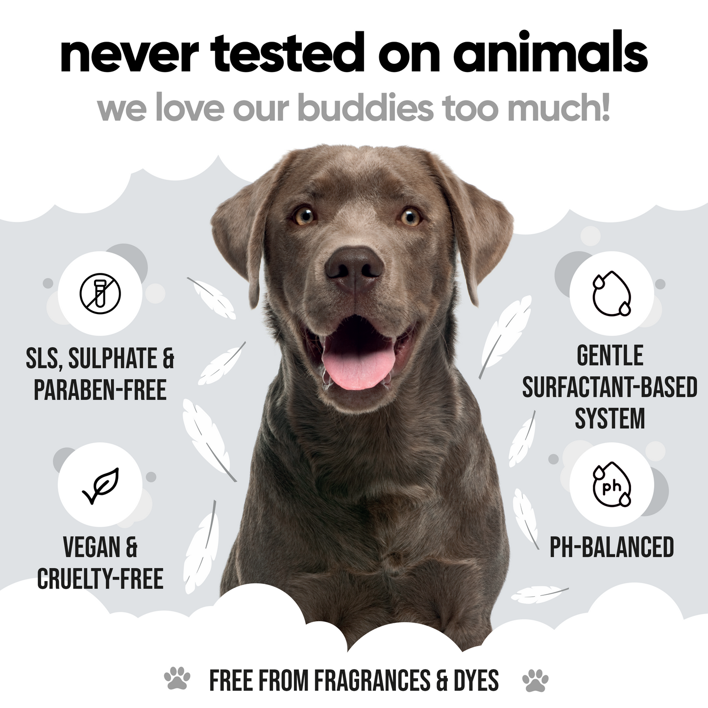 Derma Sensitive Dog Shampoo vegan and cruelty-free grooming care