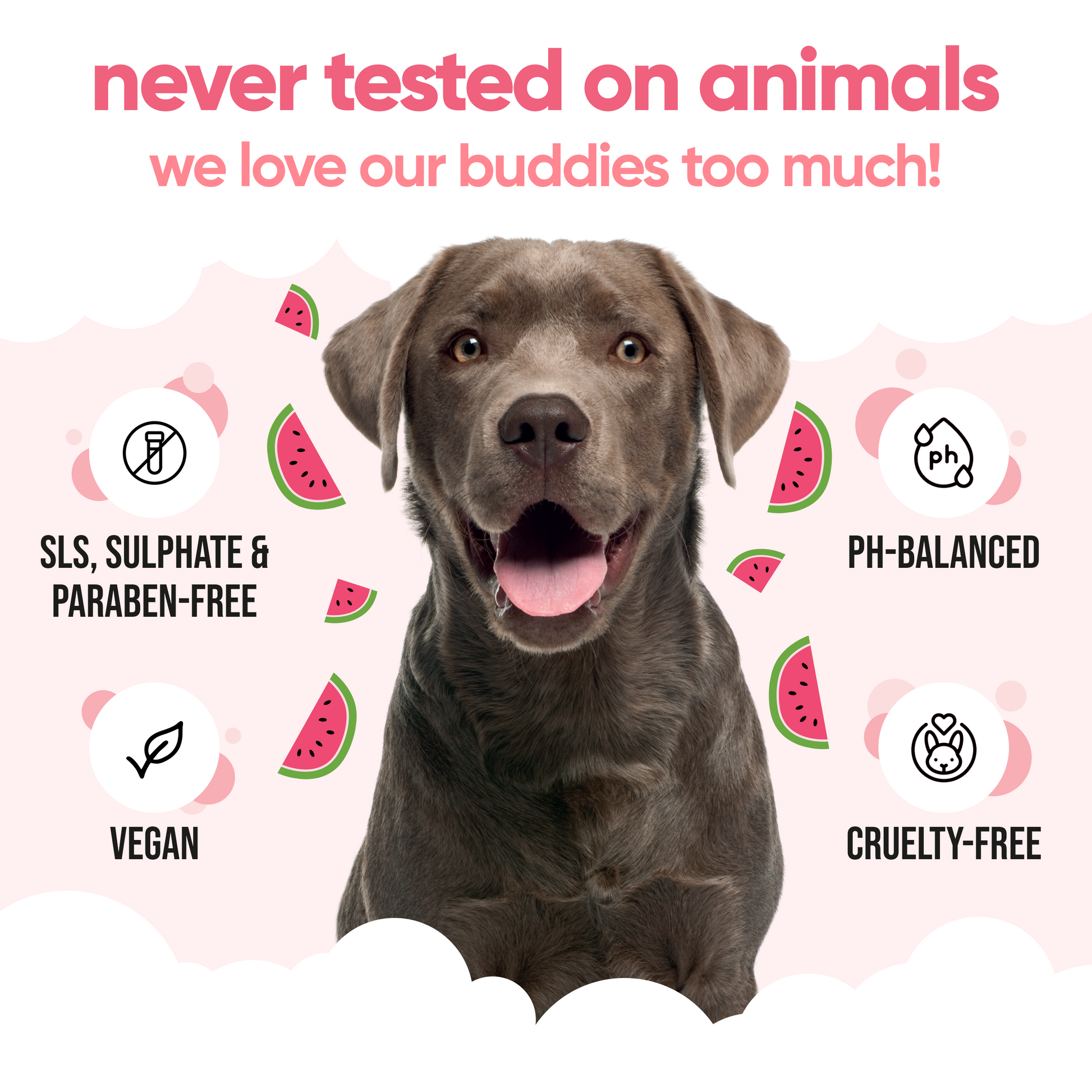 Watermelon Dog Shampoo vegan and cruelty-free grooming care