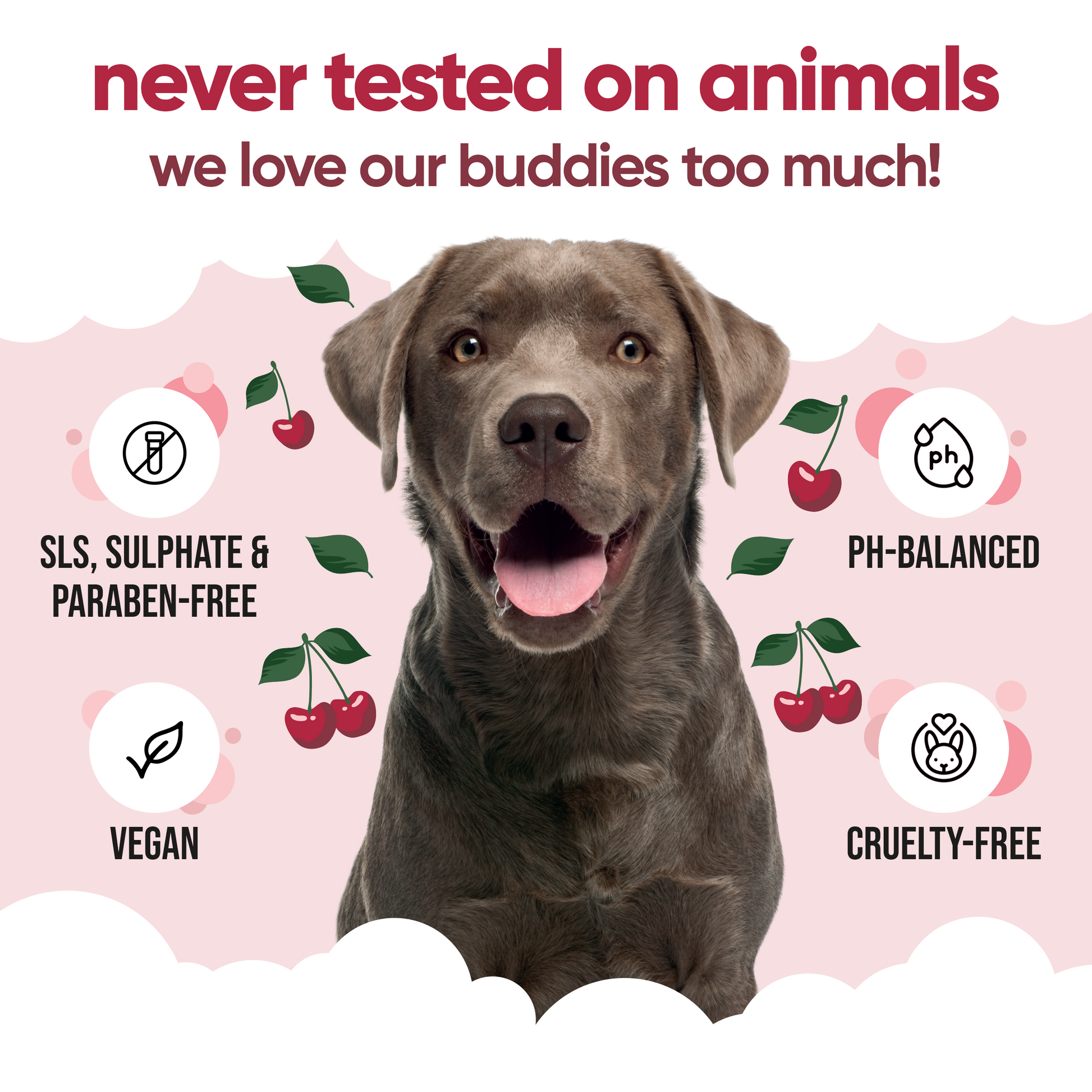 Black Cherry Dog Shampoo vegan and cruelty-free grooming care