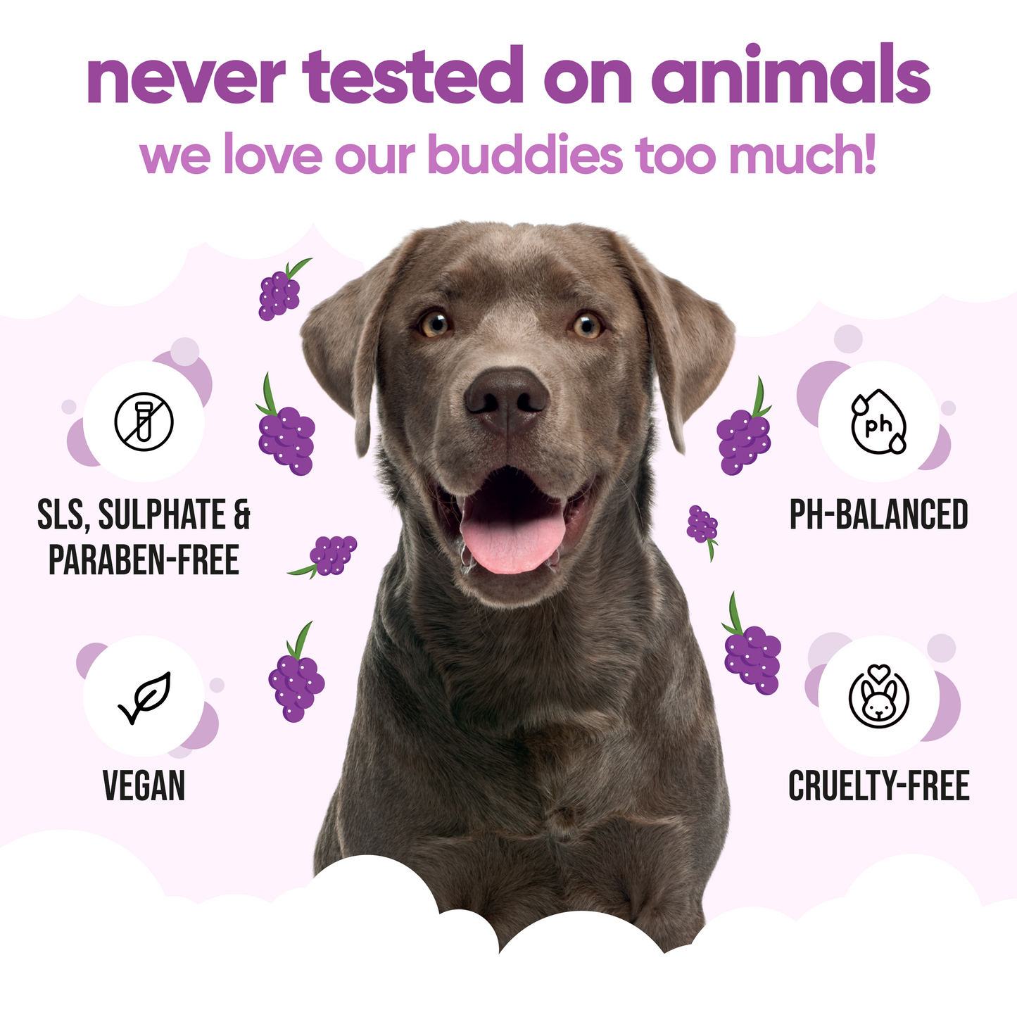 Grape Dog Shampoo vegan and cruelty-free grooming care