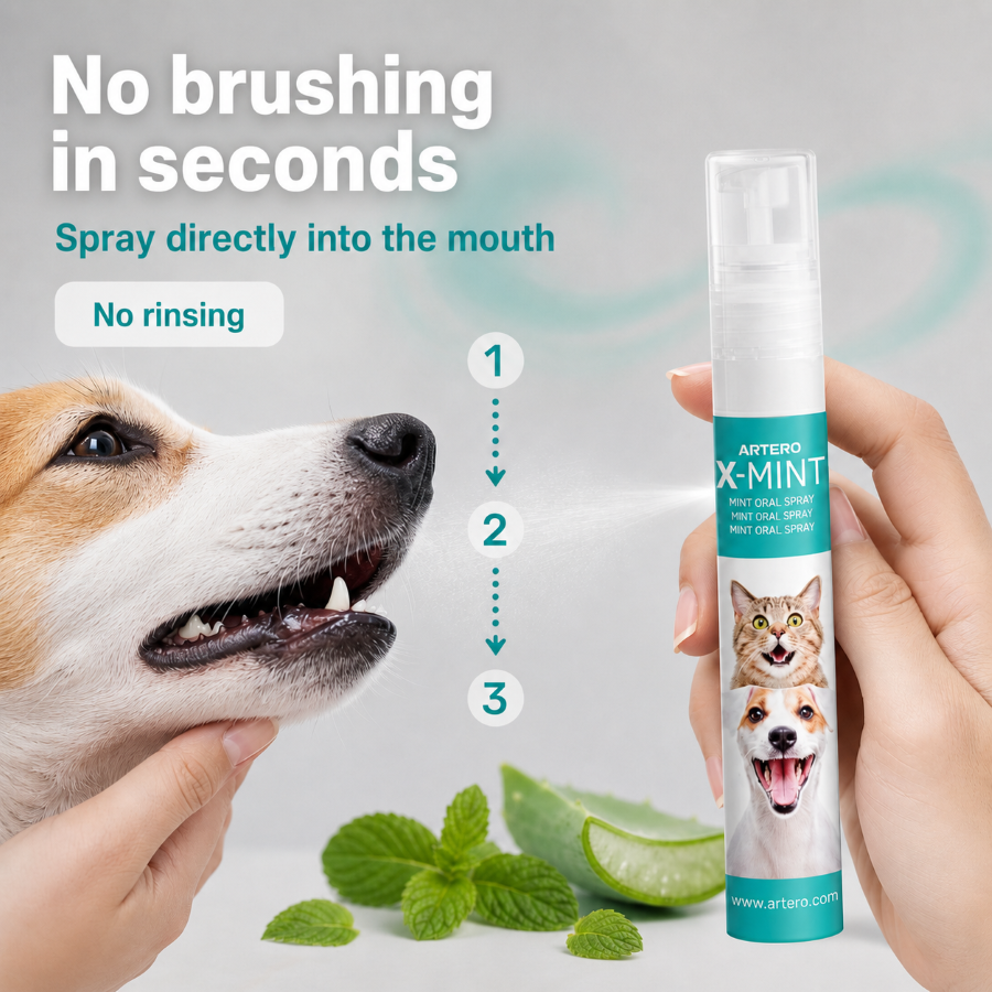 Artero X-Mint Breath Freshener by Artero – image 5
