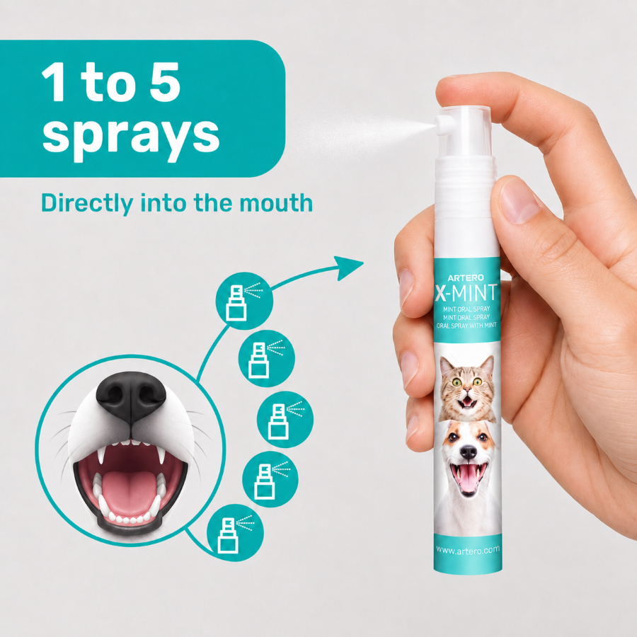 Artero X-Mint Breath Freshener by Artero – image 6