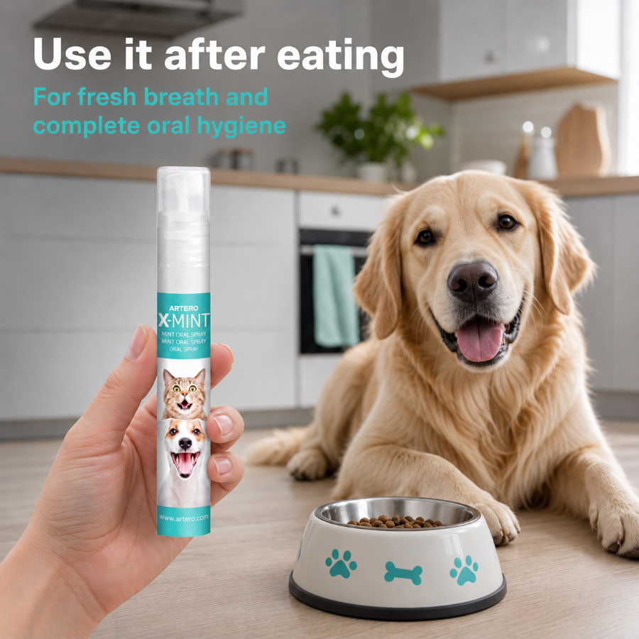Artero X-Mint Breath Freshener by Artero – image 8