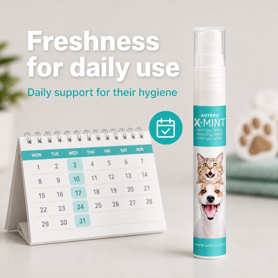 Artero X-Mint Breath Freshener by Artero – image 9