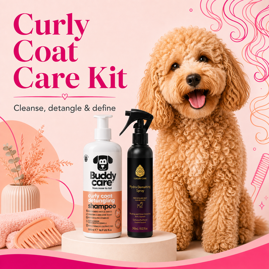 Curly Coat Care Kit with Buddycare shampoo and Hydra detangling spray