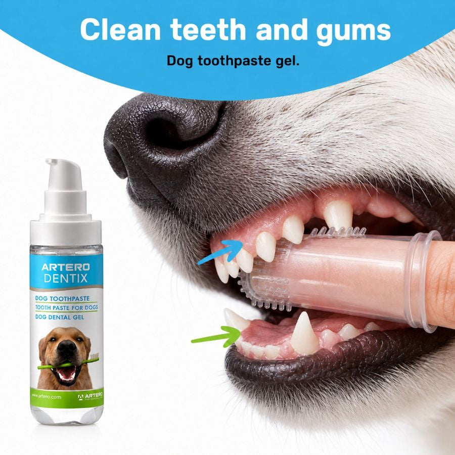 Artero Dentix Toothpaste Gel for Dogs by Artero – image 2