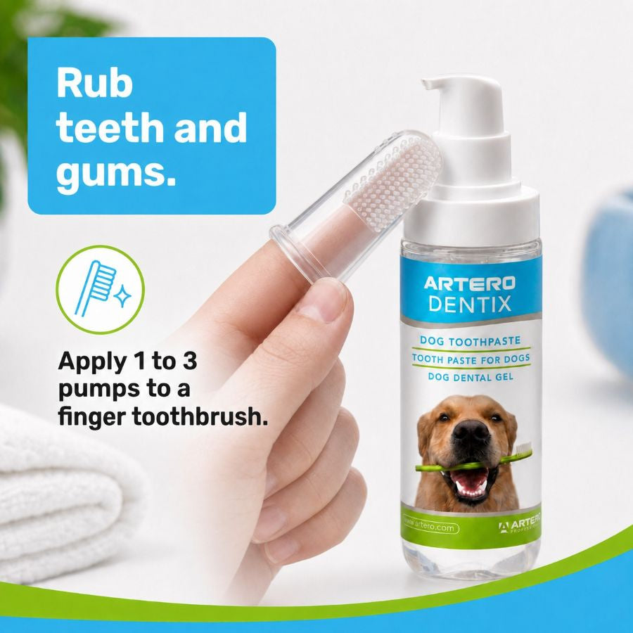Artero Dentix Toothpaste Gel for Dogs by Artero – image 3