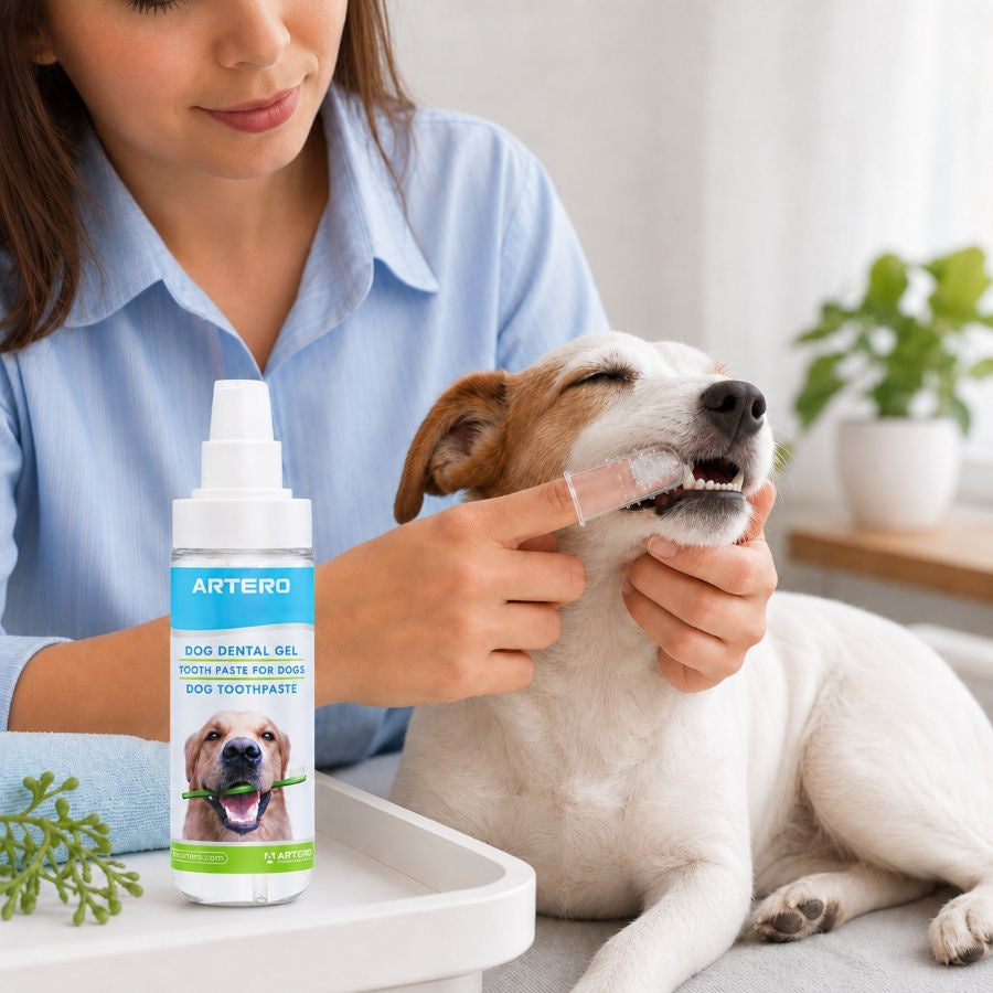 Artero Dentix Toothpaste Gel for Dogs by Artero – image 5