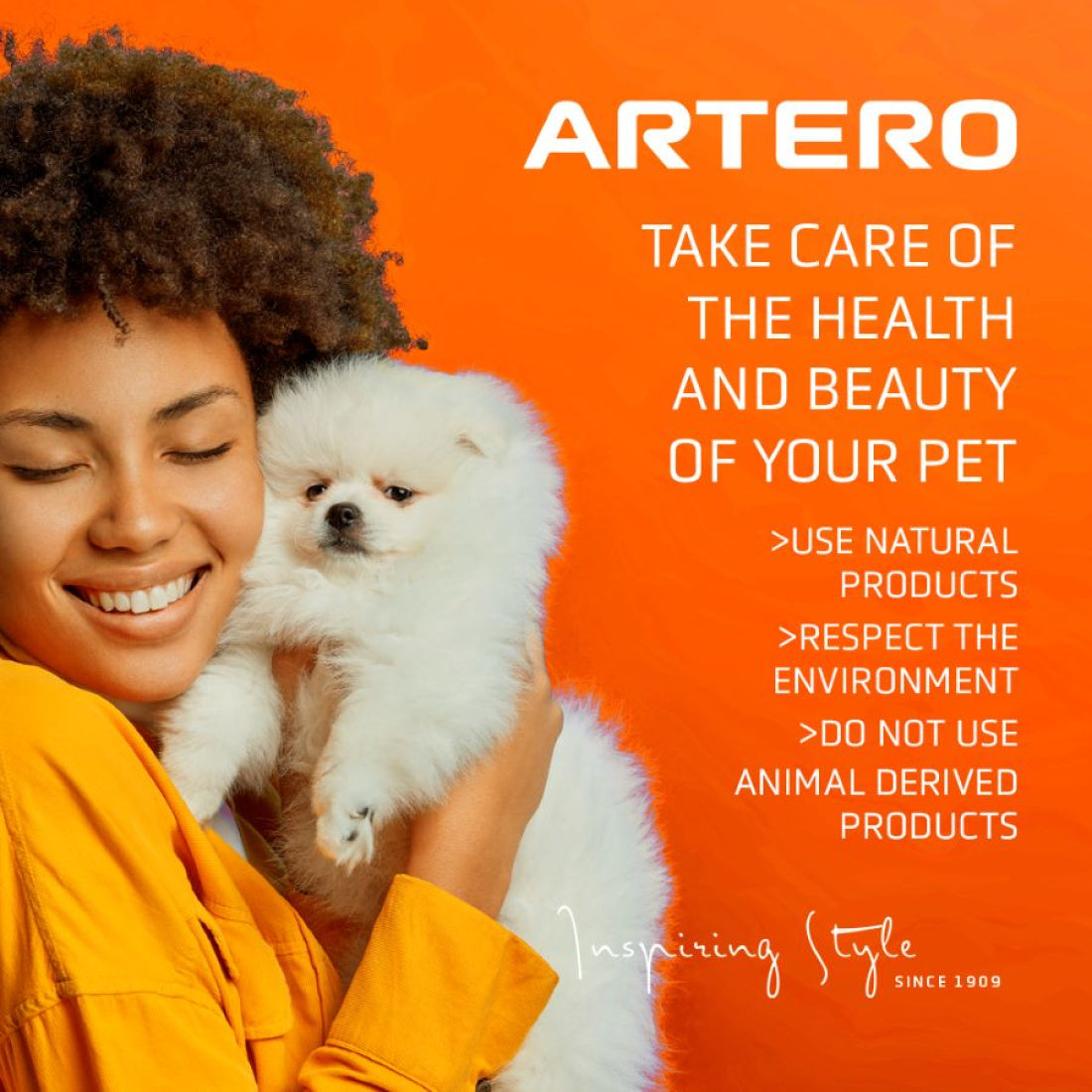 Artero Speed Dry Shampoo